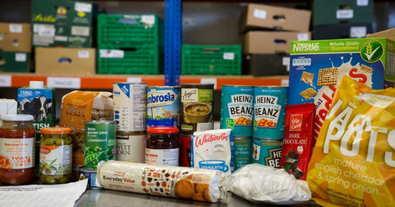 A variety of groceries as part of a food bank project.