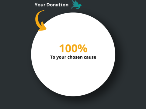 An infographic showing 100% of the donation going to the donors chosen cause